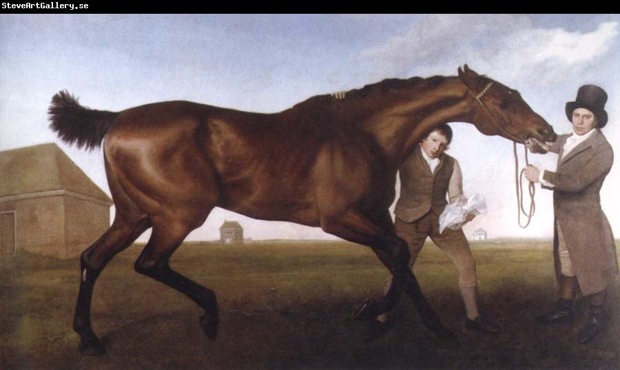 George Stubbs hambletonian,rubbing down